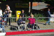 IMGP0122_bearb
